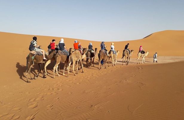 3-day 2-night Sahara Desert Adventure