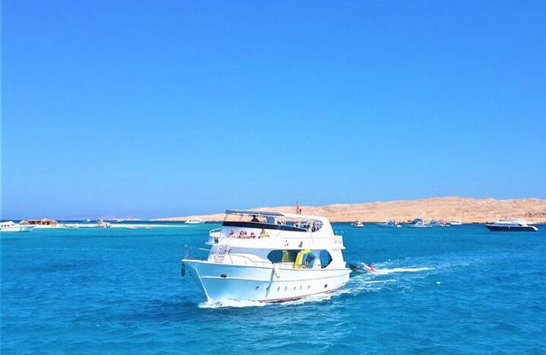 Dolphin Discovery Adventure in Hurghada