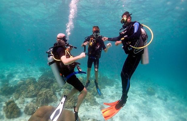 Dream to Dive full Course & private Dive Instructor PADI