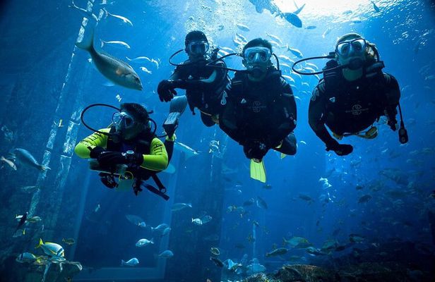 2 Dives a Comfy Boat for Certified Divers in Hurghada