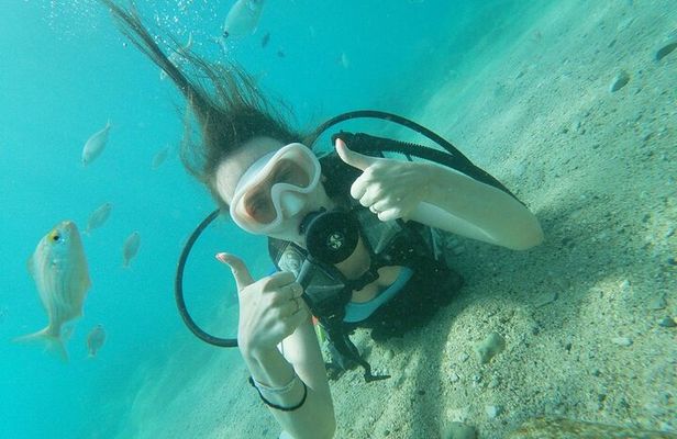 8-Hour Scuba Diving Experience in Side with Lunch