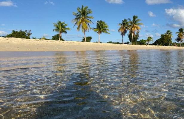 Vieques Bio Bay Tour and Beach Day Trip from San Juan by Ferry