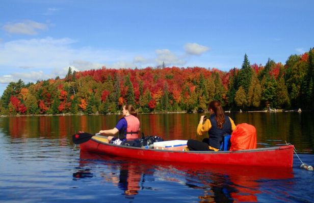 Algonquin Park 4-Day Luxury Moose/Beaver/Turtle Camping & Canoeing Adventure