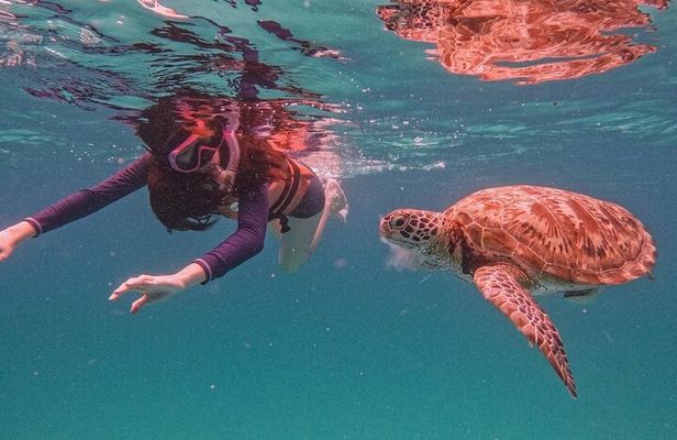 Pulau Redang Snorkeling and Island Hopping Full Day Tour
