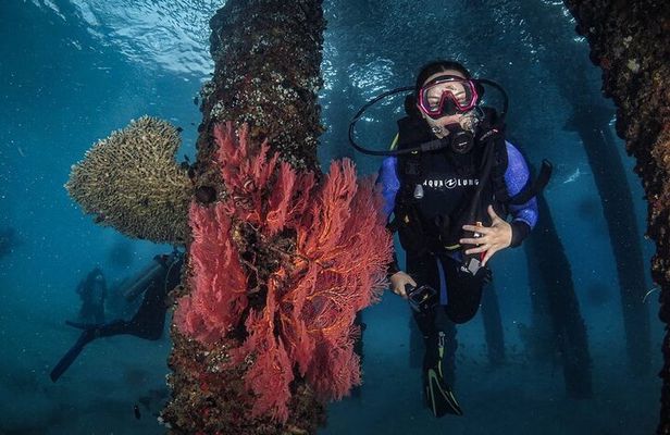 Redang Island Scuba Diving for Beginners