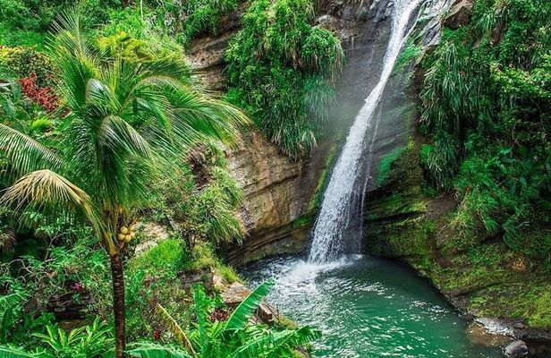 Grenada Must-See Places Express Tour