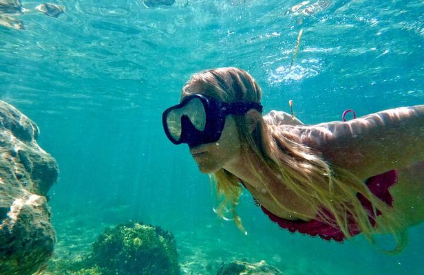 Guided Snorkel Experience, Free Videos in West Palm Beach