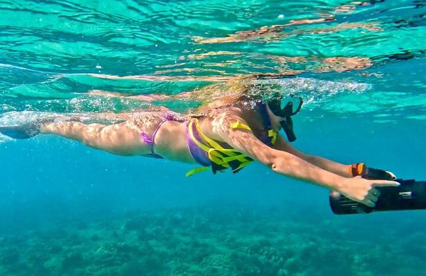 Guided Jet Snorkel Experience, Free Videos in West Palm Beach