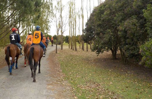 Horseback Riding Tour and Polo in Argentine Countryside