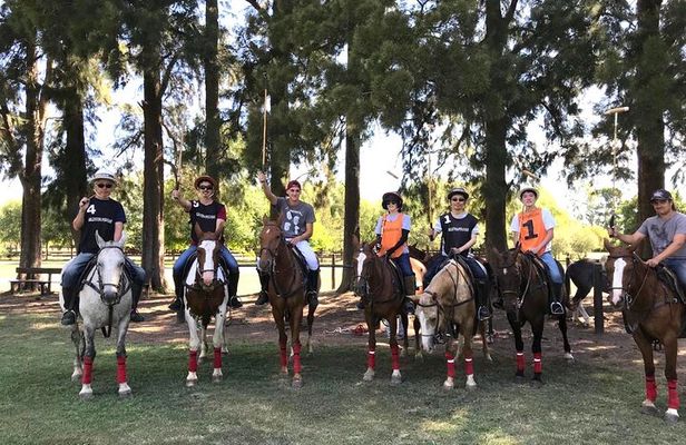 Polo Day with Argentine Asado Day Tour from Buenos Aires