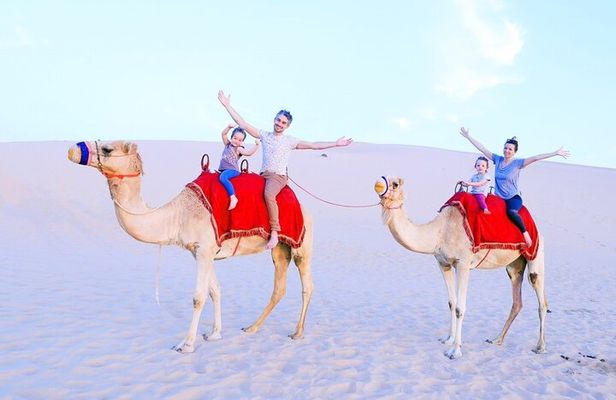 Half-Day Desert Safari from Abu Dhabi