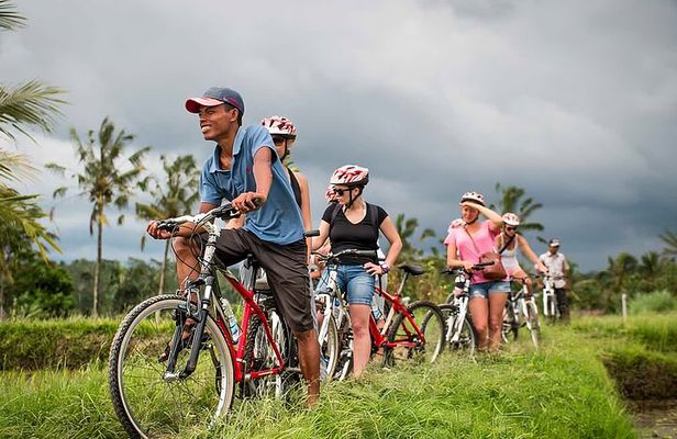 Bali Cycling and Ubud Tour Packages