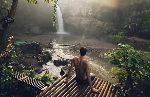 Bali Car-Charter: Half Day Ubud Waterfall Tour