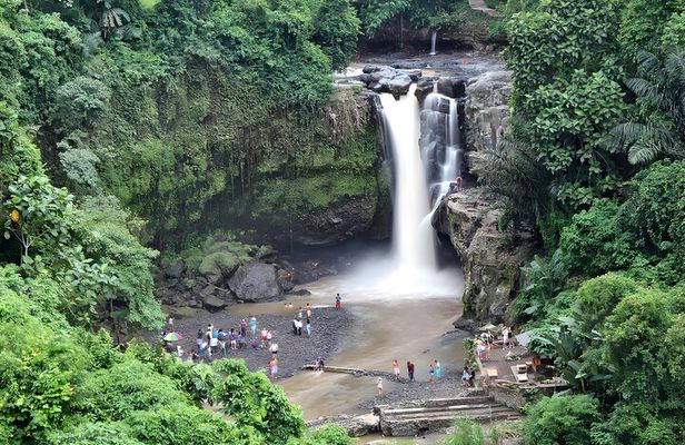 Ubud Village, Waterfall and Kintamani Volcano Tour