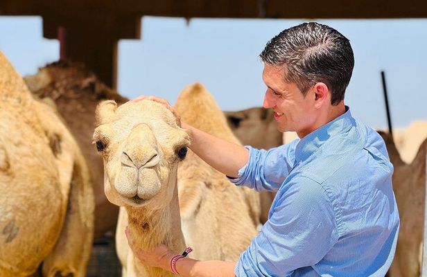8 Hours Al Ain City Tour without lunch 