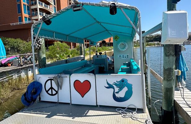 Frisky Mermaid Scenic Bay Cruise + Snorkeling Stop + Equipment