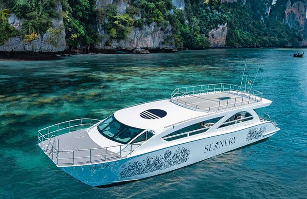 Full-Day Phi Phi and Maiton islands Tour by Speed Catamaran