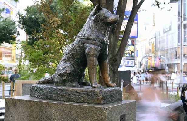 Tokyo Private SightSeeing Day Tour