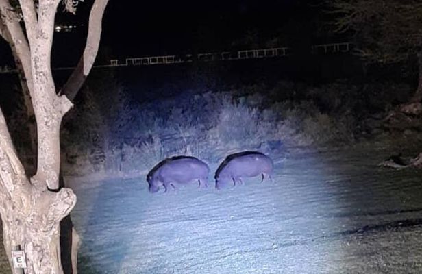 4x4 Stargazing and Moonlight Experience in the Bush