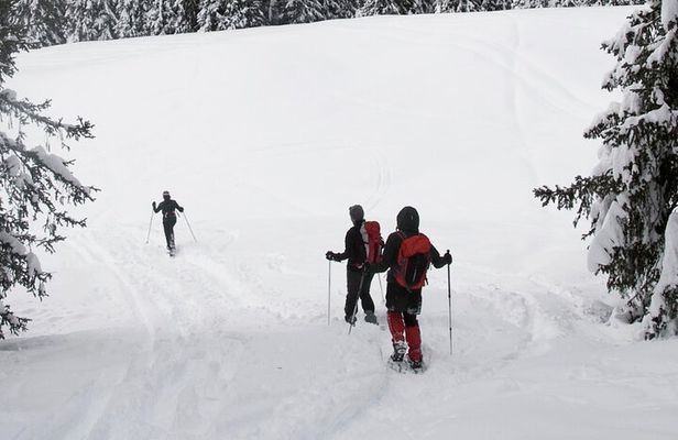 Snowshoeing in Sethan Village, Manali