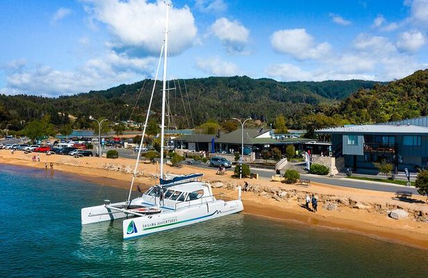 Sail, Seals, and Walk Tour in Abel Tasman