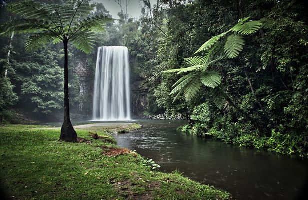 Full-day Tour at the Atherton Tablelands with Food Tasting