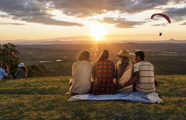Hop on Hop off Wine tasting tour to Tamborine Mountain