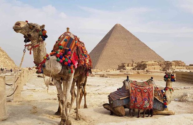 Giza Pyramids and Memphis & Sakkara From Alexandria Port
