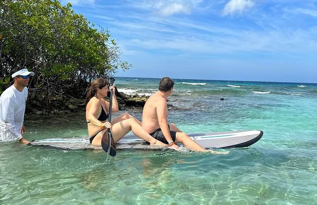 Half-Day snorkel Experience in Aruba with Nos Isla