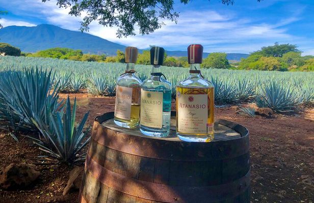 The Ultimate Tequila Experience: from Agave Field to Glass