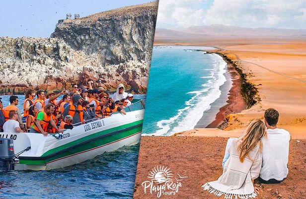 7-Hour Boat Tour Ballestas Islands and Paracas National Reserve