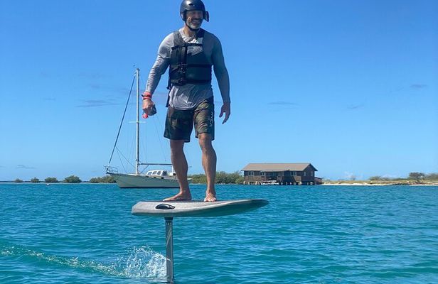 Group of 2 + mid length eFoil experience Honolulu HAWAII