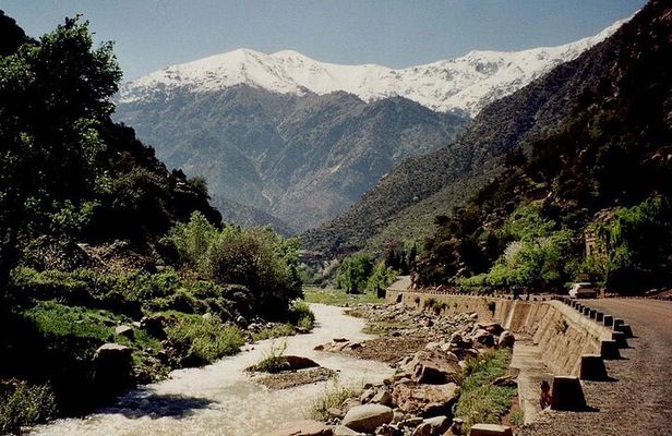 Full Day Guided Tour in Ourika Valley and Setti Fatma