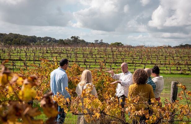 Full Day Winery Experience
