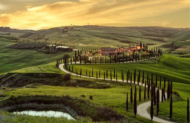 Guided tour in wonderful Tuscany
