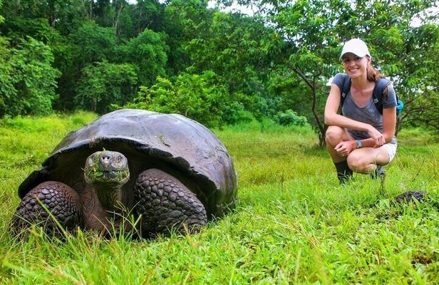 10 Days Galapagos Island Hopping: Santa Cruz & Isabela Island