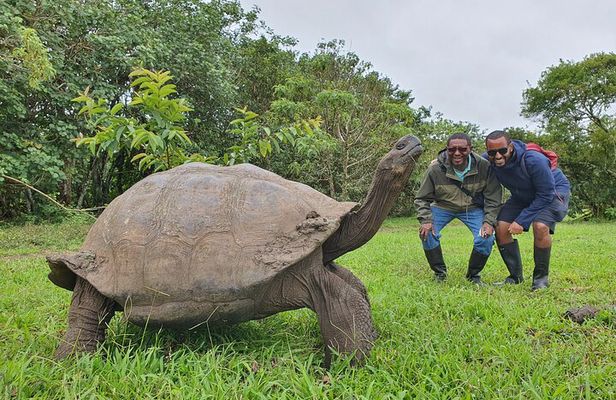 Santa Cruz Highland Tour: Giant Tortoises, Lava Tunnel & Gemelos