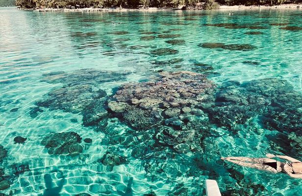 Full-day Lagoon Safari Tour with Lunch in Bora Bora - Shared tour