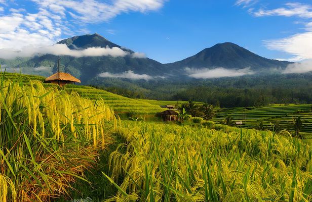 Bali Tour: Lake, Iconic Gate, Temple, Hot Spring and Rice Terrace