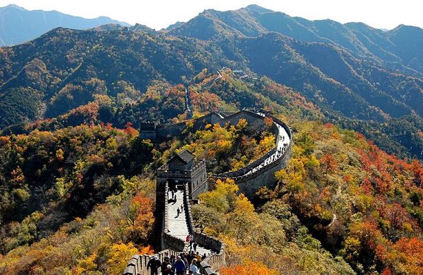Beijing Great Wall Private Day Tour from Shanghai by Bullet Train