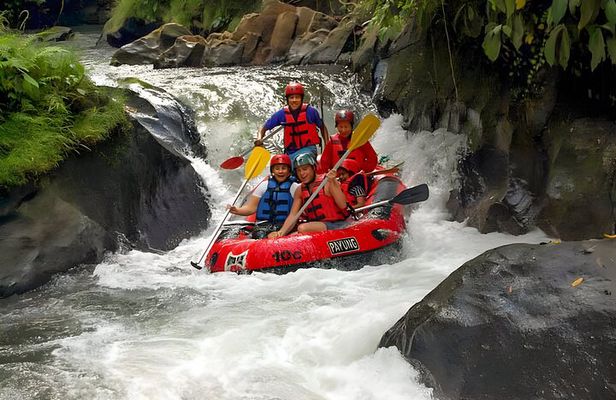 Bali River Rafting and Ubud Full Day Tour Packages