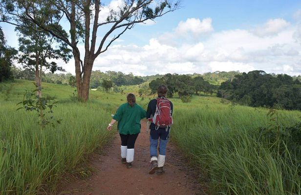 Bangkok to Ayutthaya and Khao Yai National park (4 days)