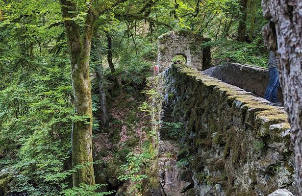 Scone Palace, Nature, Pitlochry, Whisky Experience from Glasgow
