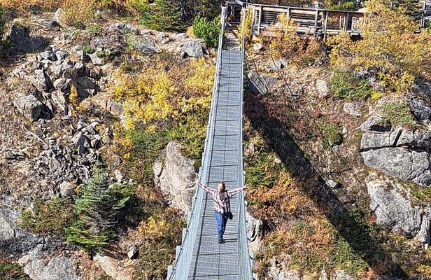 Half Day Suspension Bridge Tour in Skagway and Yukon