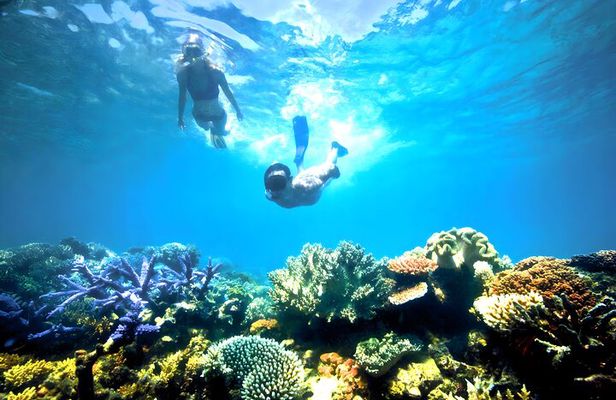 Blue Lagoon Snorkeling and Ubud Waterfall Tour