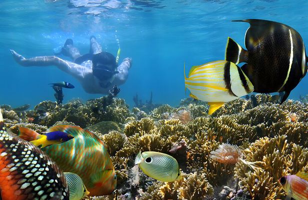 Snorkeling in Blue Lagoon Padang Bai Bali : Snorkel in the clear blue waters
