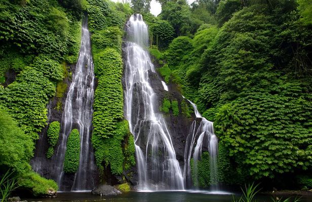 Bali Car Charter with English Speaking Driver