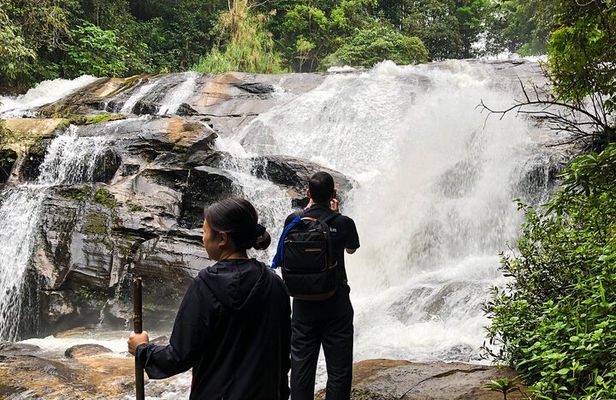 Inthanon National Park Tour with Soft Hike at Pha Dok Siew Trail