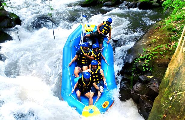 Ayung River Rafting and Ubud Waterfall Tour