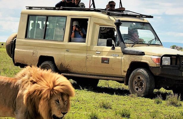 Private Multi Day Serengeti Safari